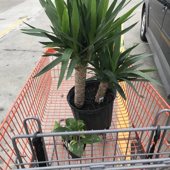 The Home Depot - Nurseries & Gardening Near Me - Tulsa, Oklahoma