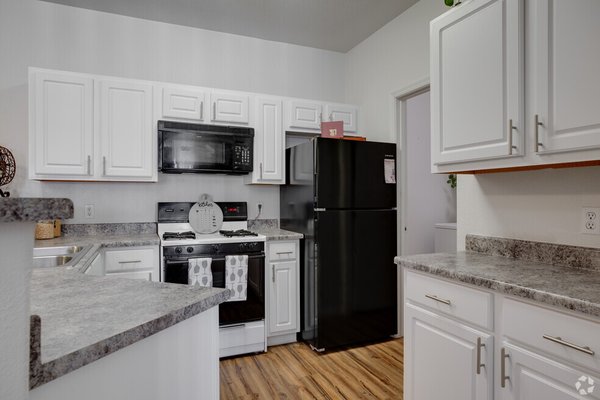 The Polo Club by null