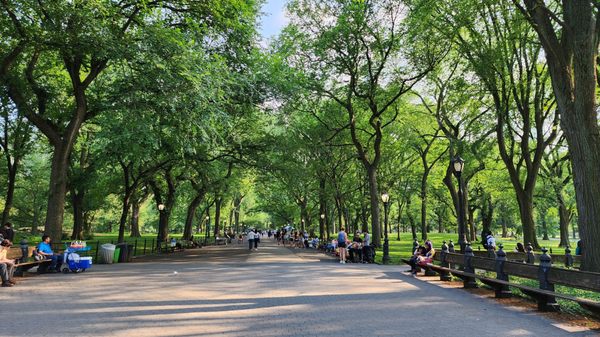 Central Park Conservancy by null