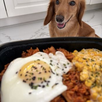 One Spoon - Food Delivery Services Near Me - Honolulu, Hawaii One Spoon - Food Delivery Services Near Me - Honolulu, Hawaii