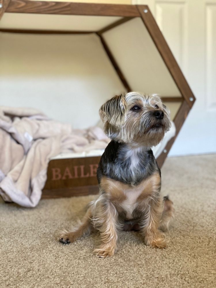 MOBILE GROOMING BY LOEL Updated May 2024 29 Photos & 25 Reviews