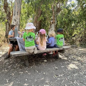 Woods Forest School - Educational Services Near Me