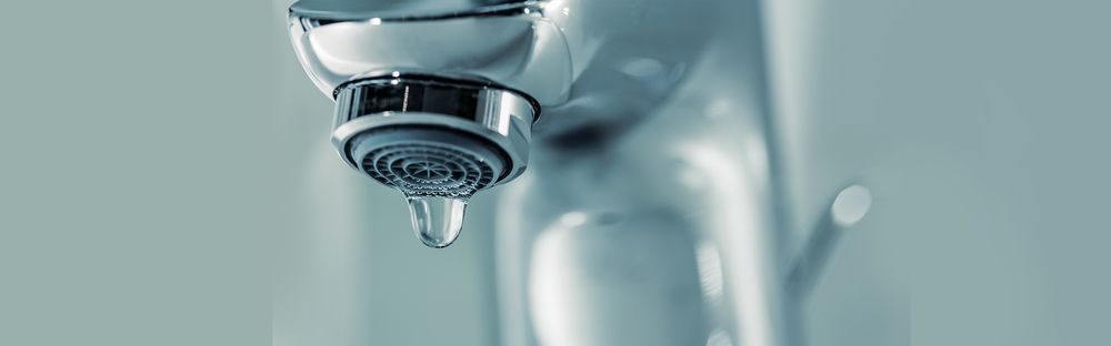 Slide of G. Burgess and Sons