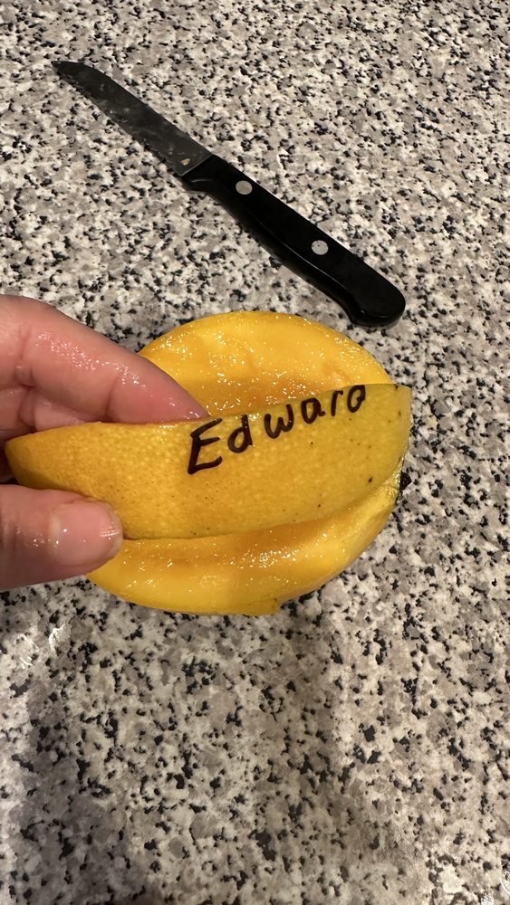 Zill's Mangoes Logo