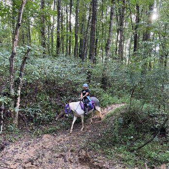 Lake Meadow Farm - A little excitement for the beginner. - Horseback Riding Near Me - Granville, Tennessee