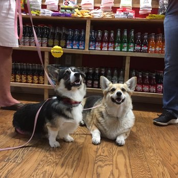Rocket Fizz - Candy Stores Near Me - Asheville, North Carolina