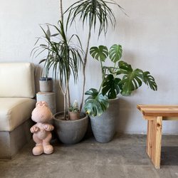 Crete Tea Room - The plants omg!
