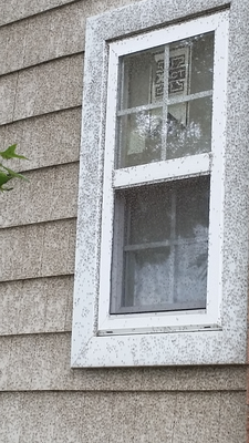 Donald Nuckel & Company