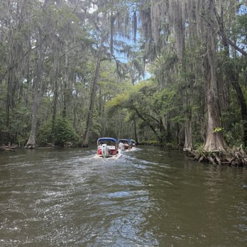 CatBoat Adventure Tours - Boat Tours Near Me - Mount Dora, Florida CatBoat Adventure Tours - Boat Tours Near Me - Mount Dora, Florida