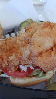 Surf's Up Mount Prospect by null