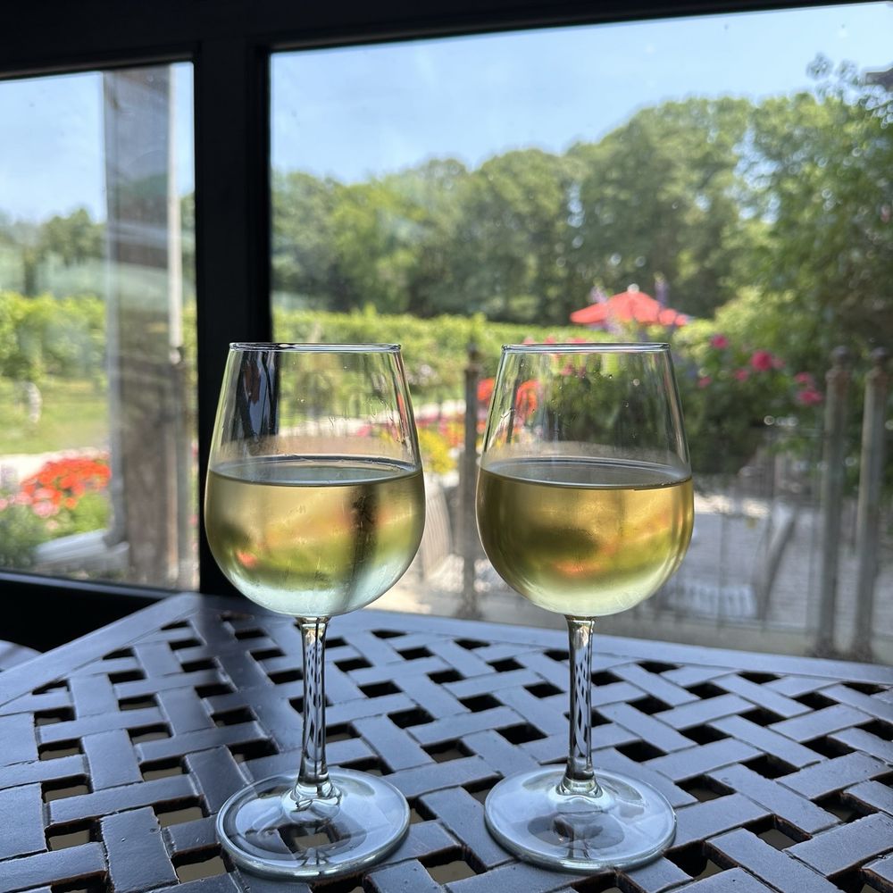 Cape May Winery and Vineyard - Two glasses of white wine with vines the background. - Wineries Near Me - Cape May, New Jersey