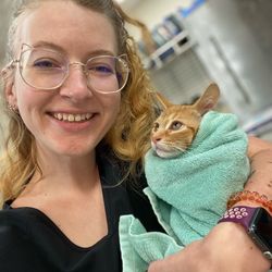 Courthouse Veterinary Clinic