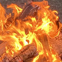 Reliable Firewood - Hottest quietest fire.