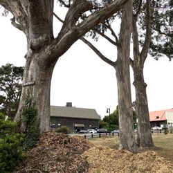 Mendocino Rotary Park
