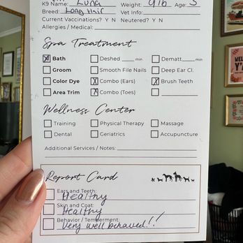 Collar & Comb - Report card from Collar & Comb - Pet Groomers Near Me - Los Angeles, California Collar & Comb - Report card from Collar & Comb - Pet Groomers Near Me - Los Angeles, California