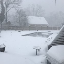Shoreline Pools - They left my pool open and empty all winter and we have grandchildren and dogs!  Mid November was way yo late to try to start resurfacing!