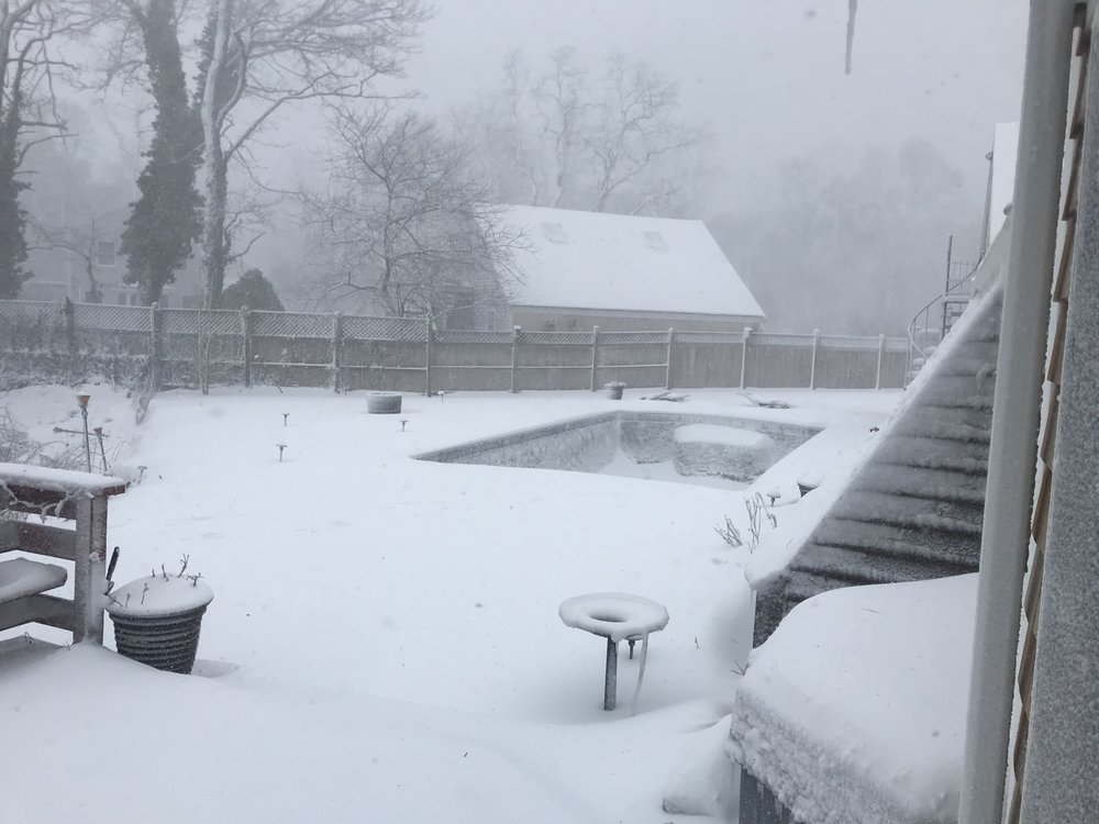 SHORELINE POOLS Updated August 2024 24 Photos & 10 Reviews 32