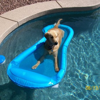 All About Restful Pets - Pet Hospice Near Me