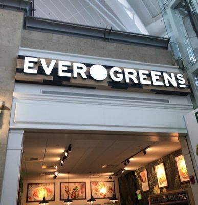 Evergreens by null