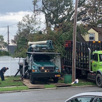 All Island Tree Service - Tree Services Near Me - Freeport, New York All Island Tree Service - Tree Services Near Me - Freeport, New York