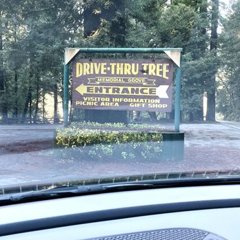 Drive-Thru Tree - Entrance - Parks Near Me - Leggett, California Drive-Thru Tree - Entrance - Parks Near Me - Leggett, California