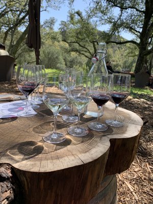 Bartholomew Estate Winery by null