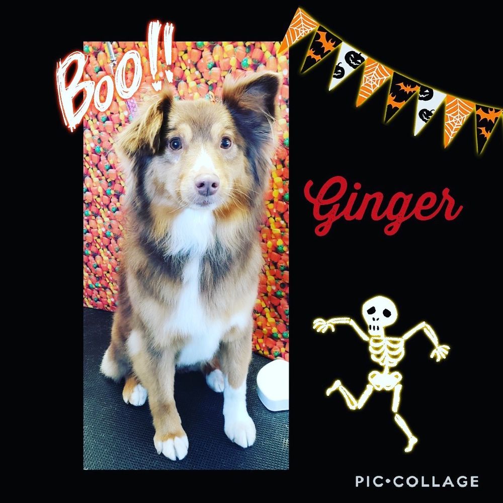 THE BARK PORCH Updated September 2024 1717 S Broadway, Minot, North