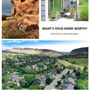 Photo of Susan Schell-MB Schell Real Estate Group