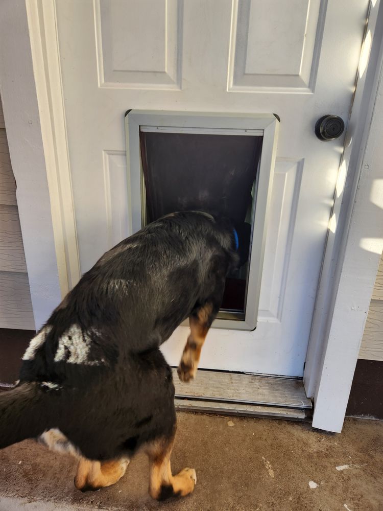 Slide of House Calls