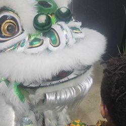 Wokk Asian Cookhouse - Dragon fei long