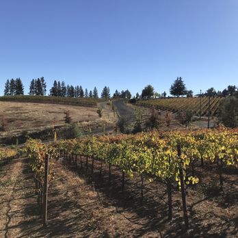 Fenton Herriott Vineyards - In the vineyards - Wineries Near Me - Placerville, California