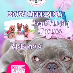 Glamour Grooming & Boarding - Dog Birthday Parties, Dog Day Parties