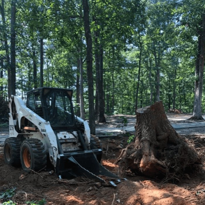 REEDY RIVER FORESTRY MULCHING AND LAND CLEARING Greenville, South Carolina Tree Services