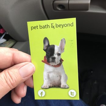 Pet Bath & Beyond - Pet groomers - Pet Groomers Near Me - San Antonio, Texas