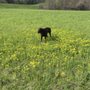 Photo of Callahan State Park