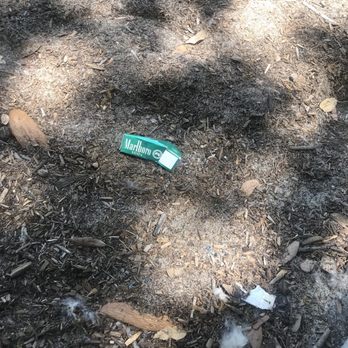 Madison Park - Trash - Parks Near Me - Santa Ana, California Madison Park - Trash - Parks Near Me - Santa Ana, California