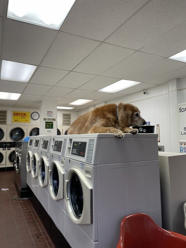 LARKIN STREET LAUNDROMAT Updated October 2024 17 Photos & 13