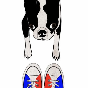 Urban Waggers - One of Paul's creations featuring Arlo! - Dog Walkers Near Me - Queens, New York Urban Waggers - One of Paul's creations featuring Arlo! - Dog Walkers Near Me - Queens, New York