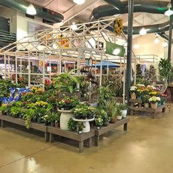 Pike Nurseries