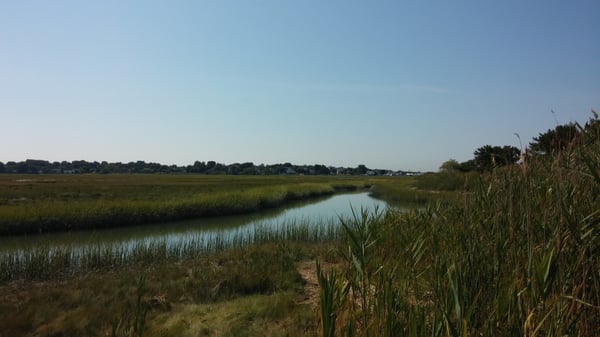 Belle Isle Marsh Reservation by null