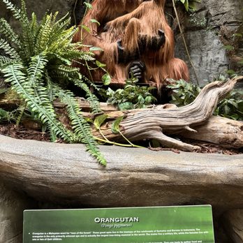 Downtown Aquarium - Museums Near Me - Denver, Colorado Downtown Aquarium - Museums Near Me - Denver, Colorado