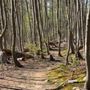 Photo of Sparta Glen
