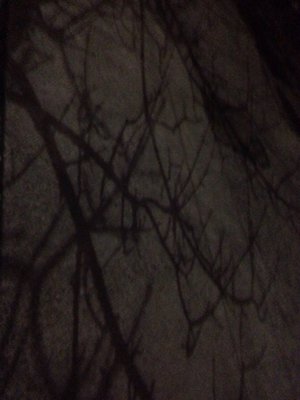 Portland Community College Cascade by null