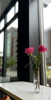 Cannelle Ann Arbor by null
