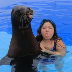 Dolphin Adventure