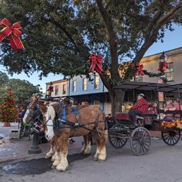 Savannah City Market decorated for Christmas 2023. Horse and carriage rides. Savannah City Market decorated for Christmas 2023. Horse and carriage rides.