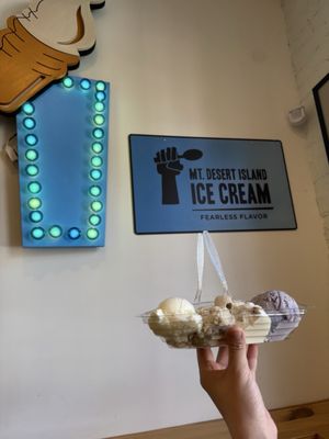 Mount Desert Island Ice Cream by null