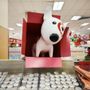 Photo of Target