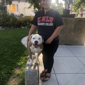 In Line K9 Academy - Pet Training Near Me In Line K9 Academy - Pet Training Near Me