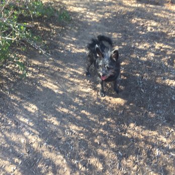 North Domingo Baca Dog Park - Dog Parks Near Me - Albuquerque, New Mexico